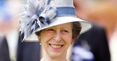 Is Princess Anne in line for the throne – and what is the role of the Princess Royal?