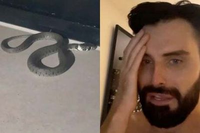 Hungover Rylan Clark begs for help after finding a snake in his home