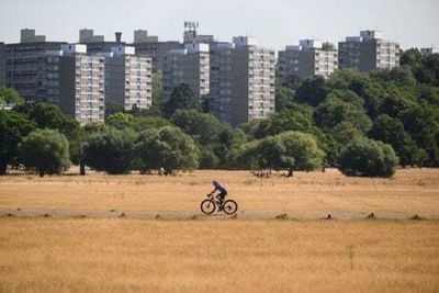 Capital faces hosepipe ban within days as fire brigade ‘is stretched to the limit’