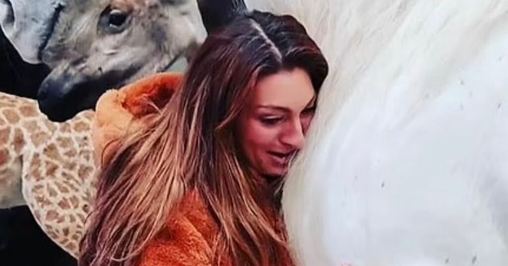 Luisa Zissman has had her dead horse stuffed and now…