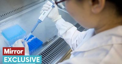 New Langya virus with high death rate 'spread by animal' - as expert warns of symptoms