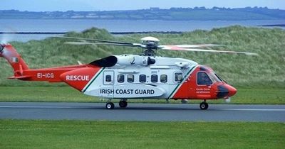 Elderly woman airlifted to hospital after being kicked by horse at Irish fair