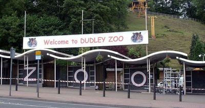 Zoo compared to 'zombie apocalypse' with 'sad and abandoned' animals in scathing review