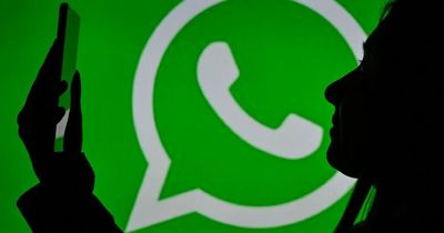 Eight new WhatsApp updates coming soon - including 'view-once' messages