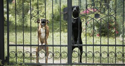 Couple furious at neighbour's 'passive aggressive' note that is almost offensive