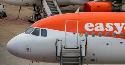 EasyJet, Ryanair and BA warning to anyone boarding plane with 'smart bags'