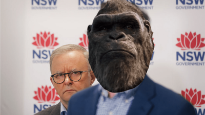 The Aus Gov Accidentally Leaked The Plot To The New King Kong Movie Twitter Went Ape Shit