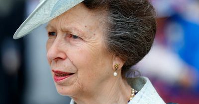 Princess Anne's savage 'most stupid person' comment overheard in awkward mic blunder