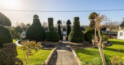 Prospective buyers giggle over 'interesting-shaped bushes' at £1million mansion
