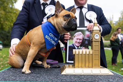 Westminster Dog of the Year to return with award dedicated to late MP Sir David Amess