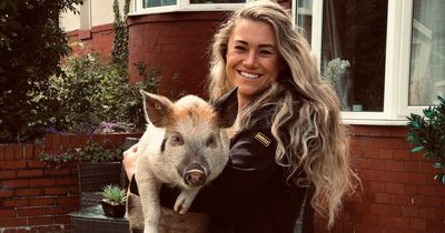 'Piggy boom' as families adopt pigs instead of dogs to save £150 a month