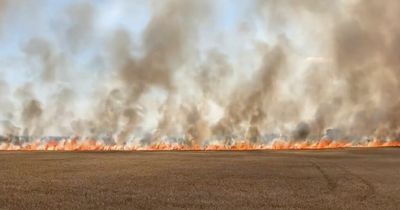 Firefighters' busiest week in 13 years as heatwave causes 187 Derbyshire fires in 7 days