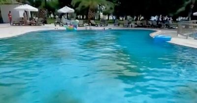 Fuming Brit mum slams 5-star hotel after finding swimming pool full of 'filth'
