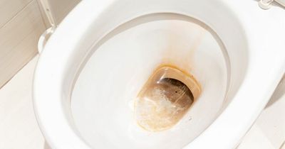 Golden rule for removing toilet limescale uses just 2 ingredients as expert says 'bleach won't work'