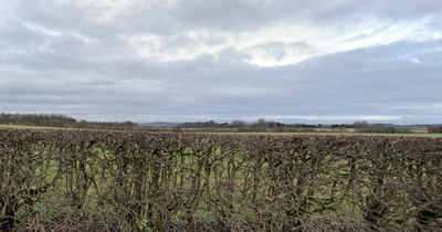 Edinburgh could see huge new village built near airport with cemetery and shops