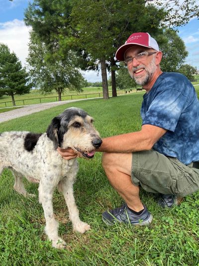 Dog, missing 2 months, found alive inside Missouri cave