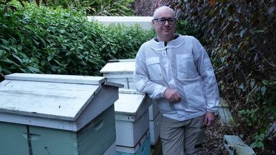 How the busiest bees in Sydney keep the Royal Botanic Gardens thriving