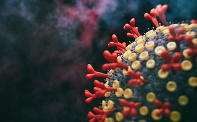 Telangana records 265 new COVID-19 cases