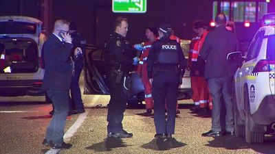 Two children critically injured after being allegedly attacked by their mother