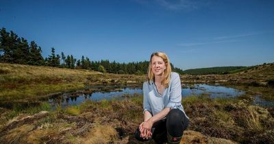 How muddy bogs could end up being Wales' secret weapon against wildfires and climate change