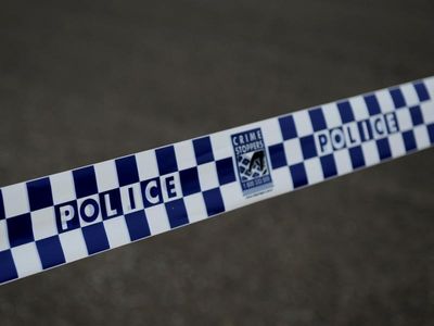 SA woman detained after children stabbed