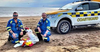 Child helplessly blown out to sea on inflatable unicorn to onlookers' horror