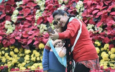 With record revenue of ₹3.3 crore in 10 days, flower show ends with a bang