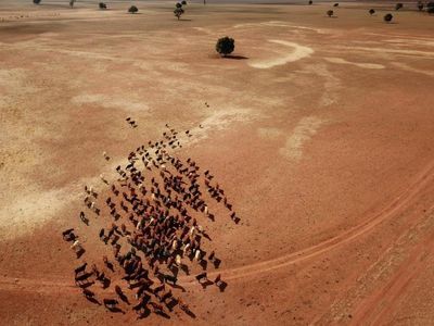 Big business wins on water, farmers say
