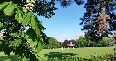 Bristol parks make it to shortlist for UK's favourite parks