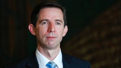 Simon Birmingham unclear on whether he shared finance portfolio with Scott Morrison