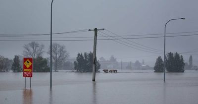 Resilience-building after floods: Grants offer 'wellbeing' lifeline to Hunter residents