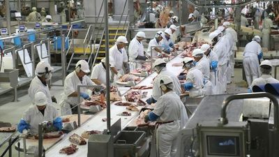 Brisbane meatworks Australian Country Choice Holdings underpays staff more than $2.5 million