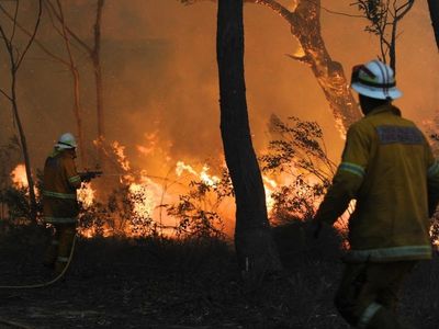 Relocation sparks PTSD in bushfire victims