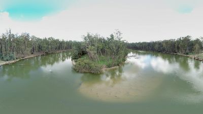 Murray Darling Basin Authority ponders how to fix sand build-up blocking river flow