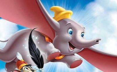Daily Quiz | On elephants