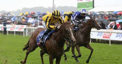 York Ebor racing tips: Best each-way bets for the final big meeting of the summer