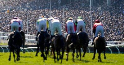 Cheltenham Festival capacity to be decreased to 68,500 daily from 2023