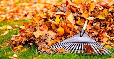 When will summer end in the UK? Official start date of autumn 2022