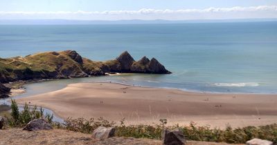 The glorious location named the top dog friendly beach in Wales