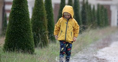 What is the smell of rain called and what causes it?