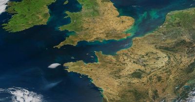 Drought brings early autumn to UK - why trees are shedding their leaves early