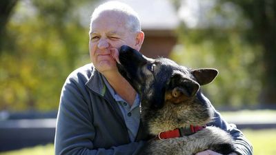 Second bravery award for retired cop