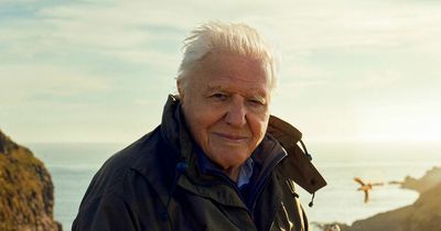 When is Sir David Attenborough's new series airing as he returns to BBC with Wild Isles
