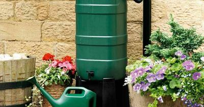 8 Best water butts to buy UK: efficient solutions to water saving