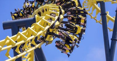 Chance to win £1,000 Merlin Annual Pass for top attractions like Alton Towers, Thorpe Park and Legoland