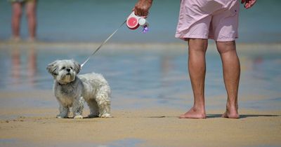 The two beautiful beaches near Edinburgh named among the most dog friendly in the UK
