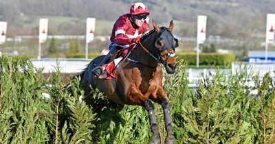 Tiger Roll to take on two other Grand National winners at Dublin Horse Show