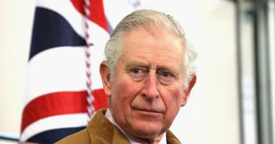 Prince Charles let slip how he feels about his portrayal on The Crown, claims politician