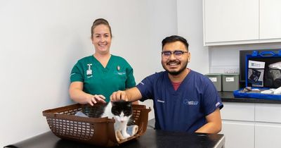 New £150,000 veterinary clinic dedicated to feline patients opens in Newcastle