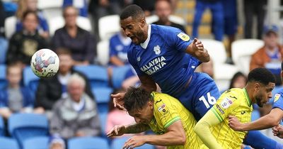 Cardiff City fitness bulletin as latest updates given on Isaak Davies, Curtis Nelson and Jack Simpson ahead of West Brom